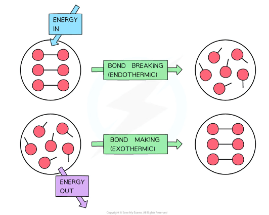 <p>is bond forming endothermic or exothermic</p>