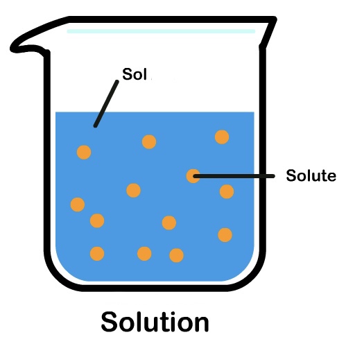 <p>A solid, smaller part that dissolves.</p>