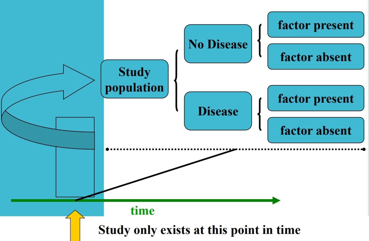 <p>Cross-sectional studies</p>