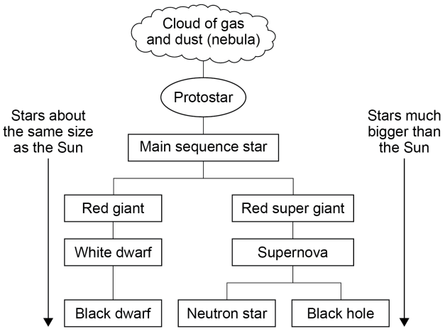 <p>The size of the star.</p>