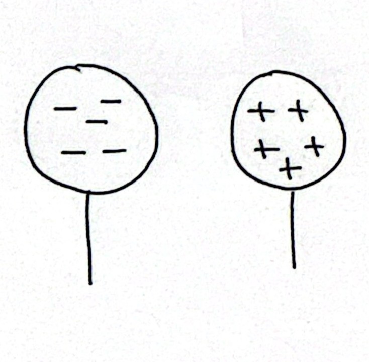 <p>Demonstrate charging a conductor by induction • 4</p>