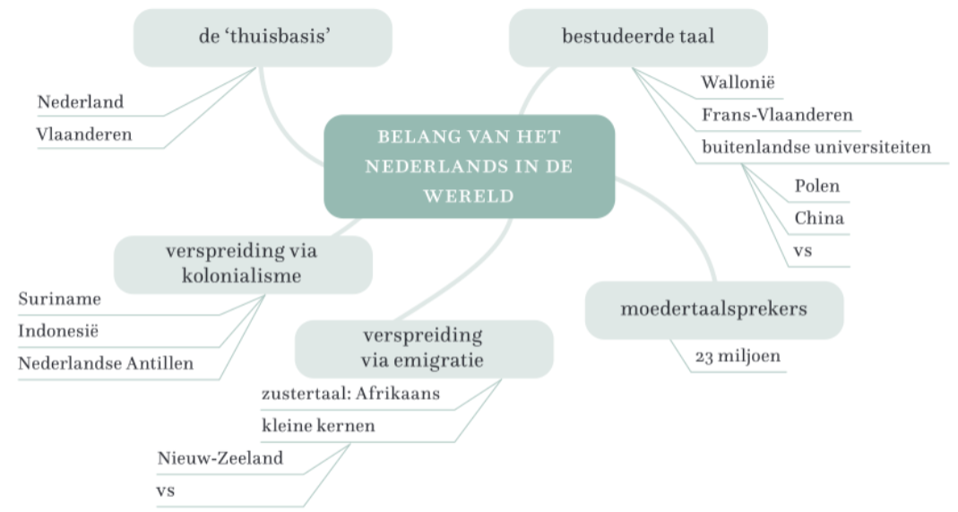 <p>= spindiagram met extra takken en extra tekst </p>