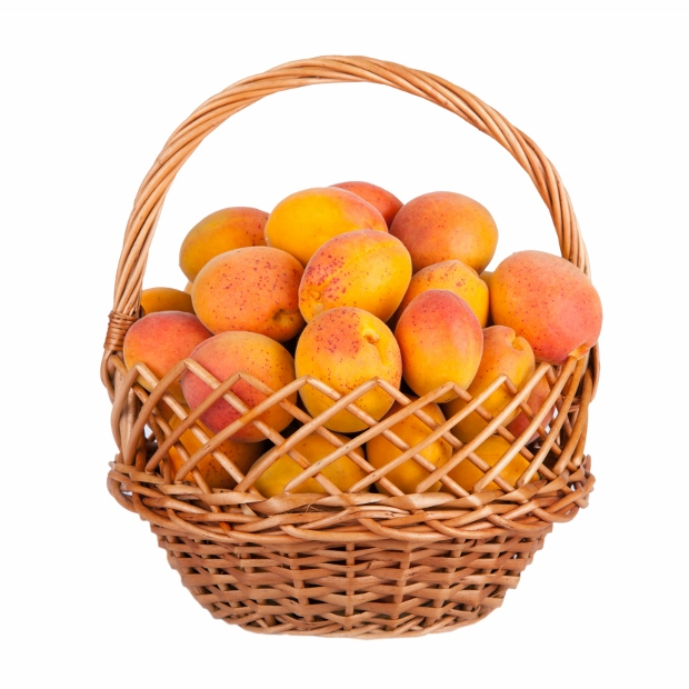 <p>Fully stocked or filled; abundantly provided with something. <br><br>Ex: The _____ cabinets in Sam's house were full of valuable antiques<br><br>Synonyms: filled, overflowing, abundant, complete</p>