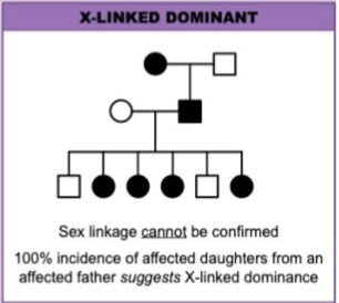 <p>dominant allele is on the X chromosome, individuals with<span><strong> one copy</strong></span> of the allele will express the trait. Affected males transmit the trait to all their daughters and none to their sons. Generations cannot be skipped.</p>