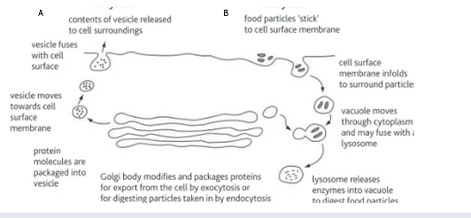 <p>Label this diagram</p>