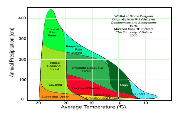 <p><strong><em>Latitude:</em></strong><em>&nbsp;</em>(Biomes)</p><p style="text-align: start">Biomes are examples of the effects of changing latitude which impacts the amount of <strong>insolation, temperature and precipitation</strong>. They are examples of zonation on a global scale.</p><p style="text-align: start">The image nicely illustrates an activity you can do with the <a target="_blank" rel="noopener noreferrer nofollow" href="https://student.thinkib.net/ess/page/53873/ess/page/26487/24-zonation-graphic-organiser"><strong>climatographs</strong></a>&nbsp;created in the&nbsp;where you plot the climatograms&nbsp;on a table or wall with the edges of the table or wall representing the axes illustrated here.</p>
