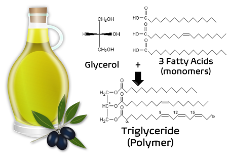 <p>Holding Hydrolysed HOSi Groups at Interface:</p><p>Correlated Performance of a Composite with Material Structure at the Interface - Monomers and Oils</p>