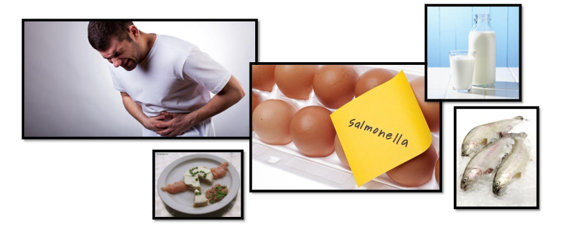 <ul><li><p>Основният механизъм за предаване на заразата при човека е алиментарният</p></li><li><p><span><span>чрез консумация на заразени хранителни</span></span><br><span><span>продукти</span></span></p></li><li><p><span><span>гастроентеритите са самоограничаващи се инфекции –преминава в рамките на 2-5 дни и не се налага лечение.</span></span></p></li><li><p><span><span>при малки деца и стари хора може да протече по-тежко – дехидратация,нарушено електролитно и алкално-киселинно равновесие</span></span></p></li></ul><p></p>