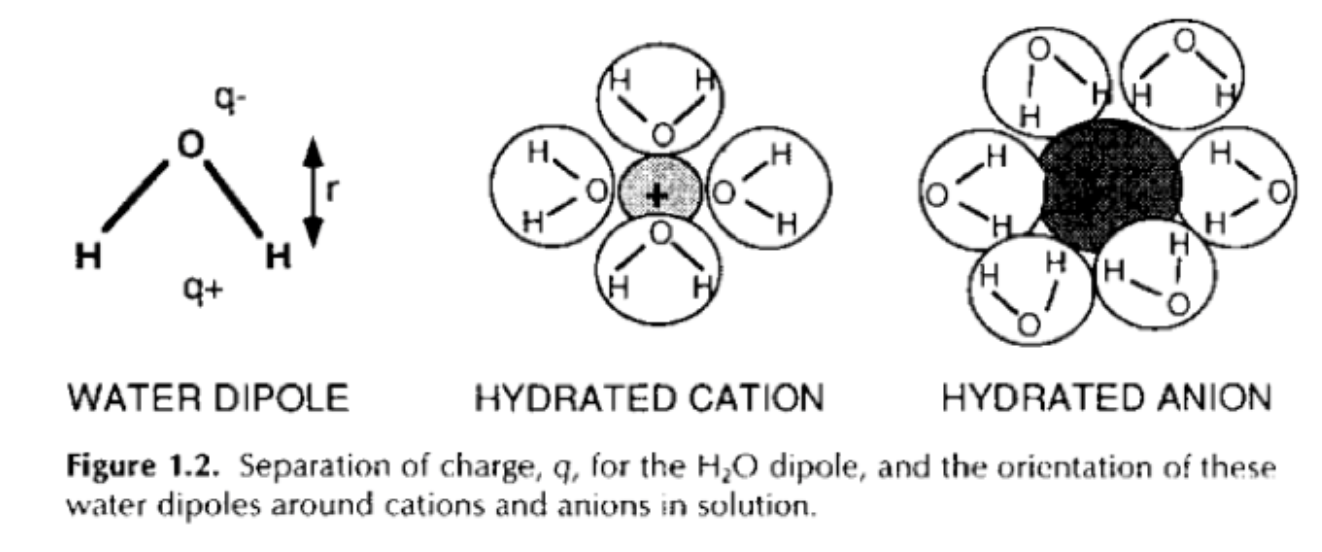 <p>What is a hydrated cation?</p>