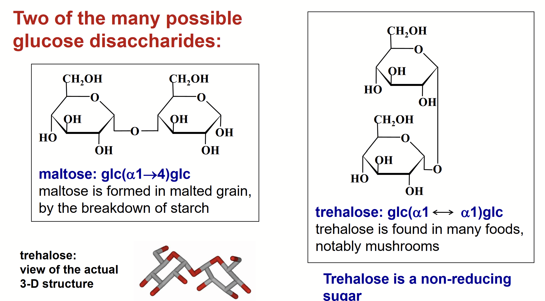 <p>Formation of the glycosidic bond of a disaccharide must involve the <strong>anomeric C</strong> of one sugar, because that is the onyl electrophilic C atom in a sugar.</p><p>On the other hand, the -OH group (the nucleophile) coul be the OH on the anomeric C of a second sugar or any other -OH group in the sugar.</p><p>So, many disaccharides can be formed; they would be structural isomers.</p>