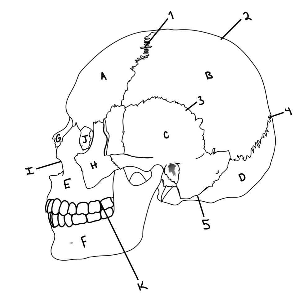 <p>what is E?</p>