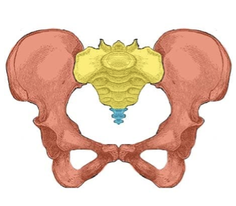 <p>Yellow? </p>