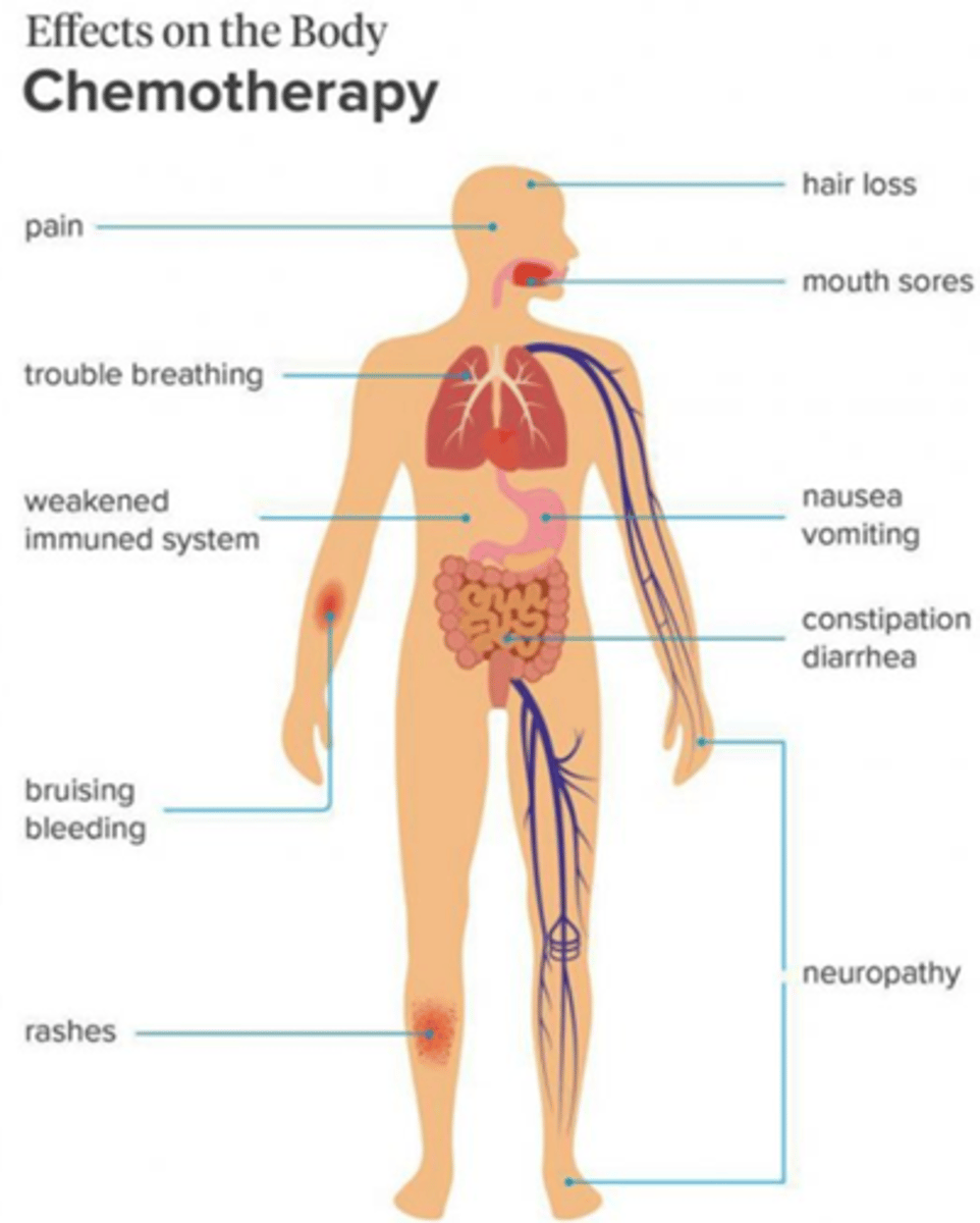 <p>Myelosuppression (bone marrow suppression)</p><p>Gastrointestinal effects</p><p>Nausea, vomiting</p><p>Mouth sores</p><p>Diarrhea or constipation, ↓ appetite</p><p>Alopecia & skin changes</p><p>Hair loss, dry skin, nail changes</p><p>Infection risk</p><p>Fever ≥100.4°F is an emergency</p><p>Fatigue</p><p>Very common, often related to anemia</p><p>Organ toxicities (drug-specific)</p><p>Neurologic effects</p><p>Peripheral neuropathy (tingling, numbness)</p><p>Brain fog/ "chemo brain"</p><p>Reproductive effects</p><p>Infertility, menstrual changes</p>