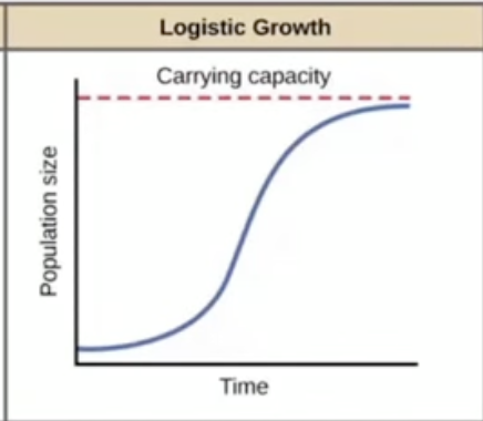 <ul><li><p>growth is limited by resource availability</p></li><li><p>Ex. paramecium population in a lab because food and space is limited</p></li></ul>