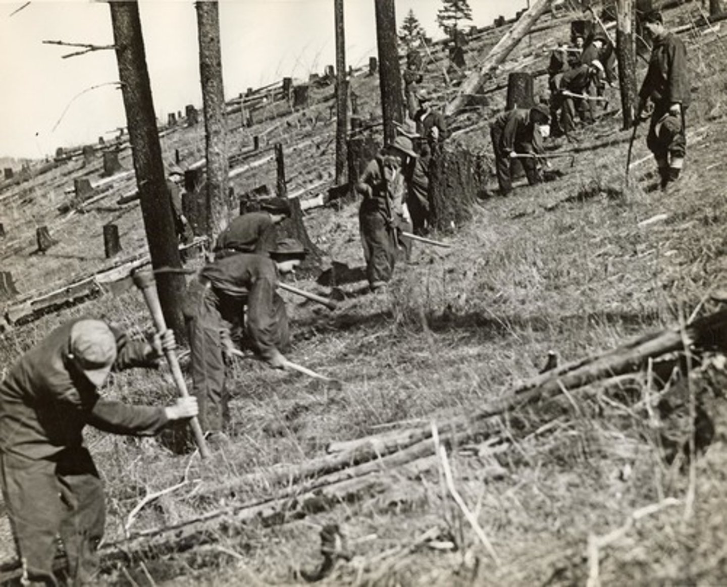 <p>Put men (age 18-25) to work building roads, developing parks, and planting trees. Had to send home most of the money they earned - they were provided with food, lodging, and uniforms. Most of the work was done in the Great Plains</p>
