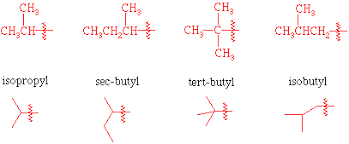 <ul><li><p>isopropyl</p><ul><li><p>little fork</p></li></ul></li><li><p>isobutyl</p><ul><li><p>little fork + methyl</p></li></ul></li><li><p>sec-butyl</p><ul><li><p>wiggly chain</p></li></ul></li><li><p>tert-butyl</p><ul><li><p>cross</p></li></ul></li></ul>