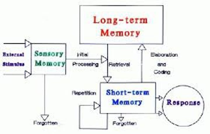 <p>the immediate, very brief recording of sensory information in the memory system.</p>