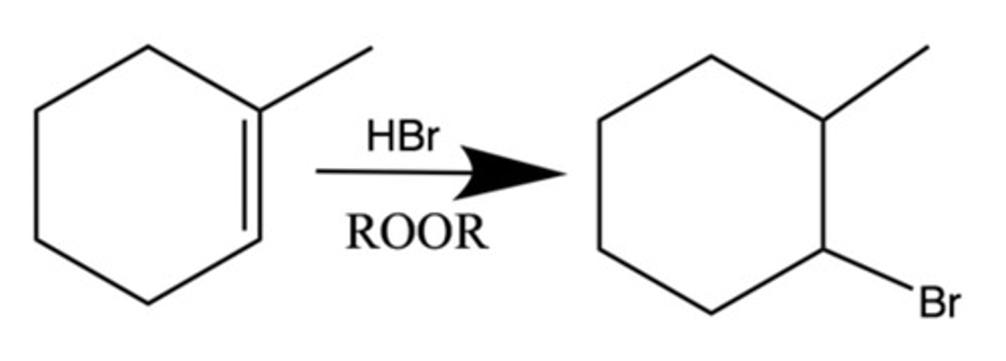 <p>Addition of H and Br on each side</p><p>Anti-markovnikov</p><p>Br on the side w less sub. (more H), H on the side with more sub.</p>