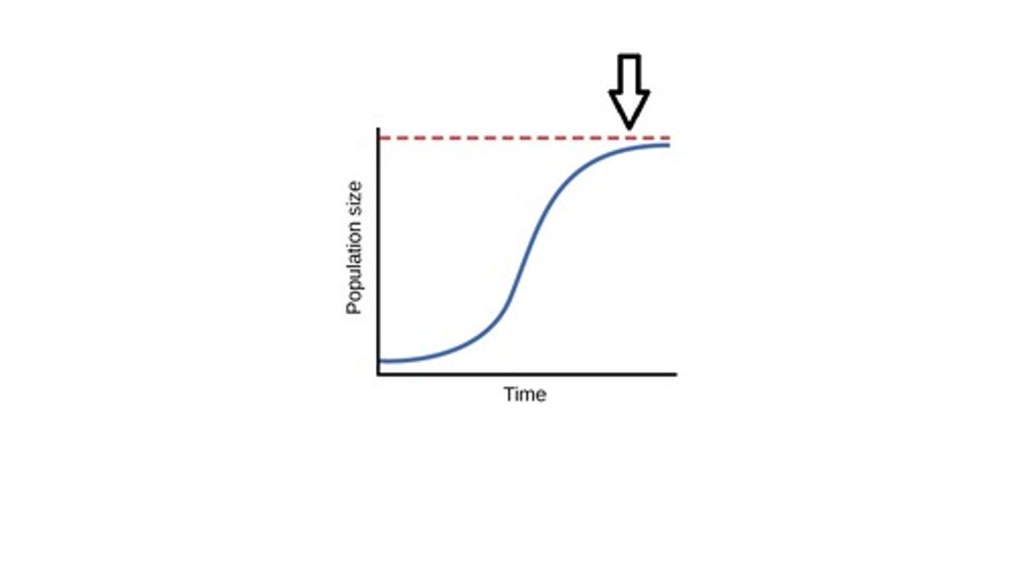 <p>Limiting Factors determine the _____________ of an environment for a species. (How many individuals the environment can support.)</p>