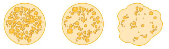 <p>Fill in the blank…</p><p>Whether a trait is dominant or incompletely dominant may depend on how closely the trait is examined. </p><p>Ex) Despite what Mendel initially thought (the wrinkled peas must be ( )) the wrinkled pea pod was found to also have the ( ) genotype along with the heterozygous round pods. In fact, upon microscopic examination, the heterozygotes looked round but had half the amount of starch found in the homozygous dominant pods.</p><p>As such, the wrinkled peas, despite having the genotype, produced 0% of the functional protein.</p>