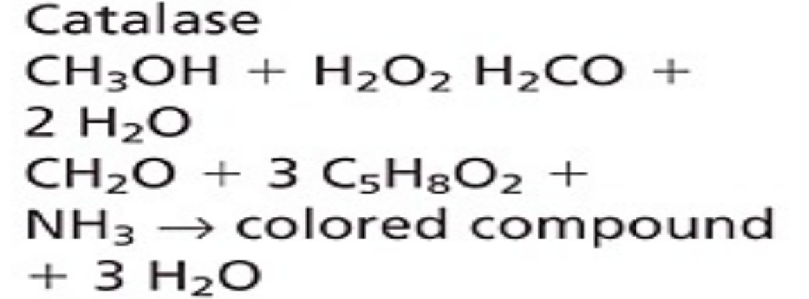 <p>Coupled Enzymatic (I)</p>