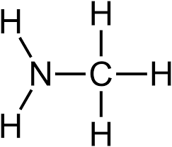 <p>compound containing an amino group</p>