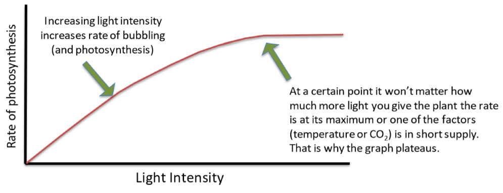 <p>Increased light intensity increases rate of photosynthesis, but up until a certain point. The rate is at its maximum because one of the other two factors becomes the limiting factor and is in short supply. The graph plateaus.</p>
