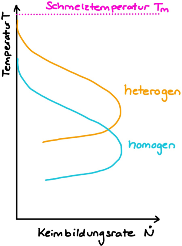<p>Die Formel für die freie Energie bei der homogenen Keimbildung lautet:</p><p>$$\Delta G^* = \frac{16 \pi \gamma^3 T_m^2}{3 \Delta H_m^2 \cdot \mathbf{(T_m - T)^2}}$$</p><p>1. Das Problem bei <span>$$T \approx T_m$$</span></p><p>Wenn die Temperatur <span>$$T $$</span> nur sehr knapp unter <span>$$T_m $$</span> liegt, ist die Unterkühlung <span>$$ \Delta T = (T_m - T)$$</span> eine sehr kleine Zahl. Da dieser kleine Wert in der Formel <strong>quadriert im Nenner</strong> steht, wird das Gesamtergebnis für <span>$$ \Delta G^*$$</span> <strong>extrem gross</strong>.</p><p>2. Der Benetzungsfaktor</p><p>Bei der heterogenen Keimbildung multiplizieren wir diesen riesigen Wert mit dem Benetzungsfaktor <span>$$f(\theta) $$</span>:</p><p>$$\Delta G^*_{het} = \Delta G^*_{hom} \cdot f(\theta)$$</p><p>Da <span>$$f(\theta) $$</span> bei einer guten Benetzung (z.B. an einer Gefäßwand) winzig klein ist, drückt dieser Faktor die gigantische Energiebarriere massiv nach unten.</p><p>Somit ist es energetisch sinnvoller einen Keim an einer bereits vorhandenen Oberfläche entstehen kann, anstelle “aus dem nichts”. Dadurch ist die benötigte freie Energie tiefer bei der heterogenen Nukleation und es wird eine weniger starke Unterkühlung benötigt.</p>