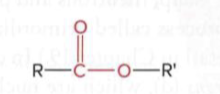 <p>a carbonyl group (C=O) bonded to an oxygen atom, which is in turn bonded to an R group</p>