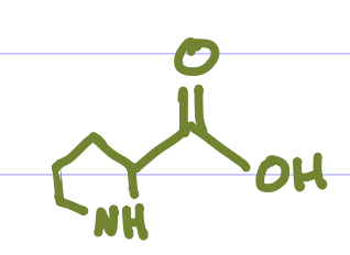 <p>Is this Amino Acid Polar or Non-polar?</p>