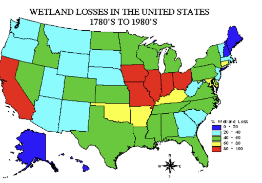 <p><span>Not much data on wetland loss now, but there hasn’t been a net gain of wetlands, if anything its a net loss&nbsp;</span></p>