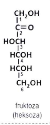<p>ketoheksozą</p>