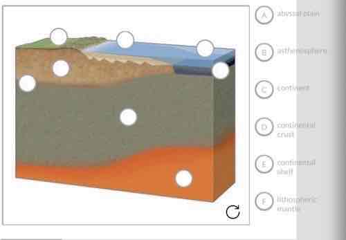 <p>Label the image with the features of tectonic plates.</p>