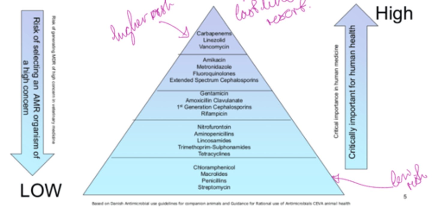 <p>-pyramid of antibiotics and their selection</p><p>-the CIAs are last resort and not used in animals</p><p>higher up= more risk of selecting an AMR organism and more important for human health</p>