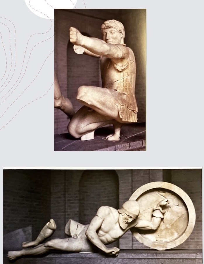 * Depicts the **earlier destruction of Troy** by Herakles and Telamon ​
* At first glance appears **very similar** to the West pediment ​
* **Athena still occupies the central space** but is far **more engaged** with the ongoing battle ​
* The surviving fragments suggest the **action faces inwards towards Athena (**emphasising her **relevance** and **importance**) ​

  \
* The archer on the east pediment is **Herakles**, identified by his **lion-skin head-dress**​
* He **crouches** down, **taking aim, similar to Paris** but his pose is different, reflecting his superiority ​
* He is **twisted slightly outwards** and **appears at an angle** from the viewer​
* His **extended arm is entirely straight**, level with his shoulder, **fully focused** on his target ​

\
* The fallen warrior on the left corner is similarly comparable to the west but here the **warrior’s pose fully demonstrates pain and suffering** as he dies ​
* He lies on his side, one **leg extended**, the other bent, left arms **still in the strap of his shield** as he faces forward **looking towards the ground** and his death ​
* These details fill the onlooker with **pathos**, and we feel **great sympathy** for this victim  ​
* Other sculptures in the pediments boast the glory one can win in battle, this figure **demonstrates the cost and suffering (War is considered from a number of angles)**​

  \
