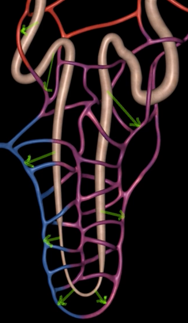 <p>process by which substances are moved via diffusion or active transport from filtrate back into blood </p>