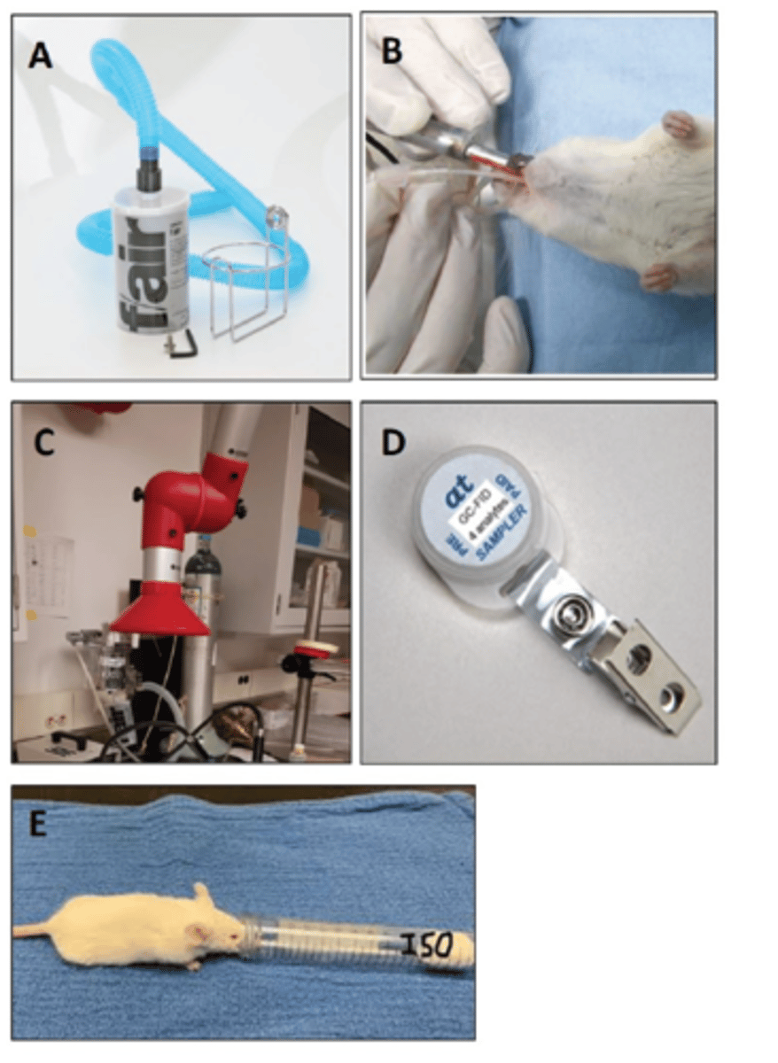 <p>According to National Institute for Occupational Safety and Health (NIOSH), which of the following images represents the most effective step in reducing waste anesthetic gas?</p><p>A. A</p><p>B. B</p><p>C. C</p><p>D. D</p><p>E. E</p>