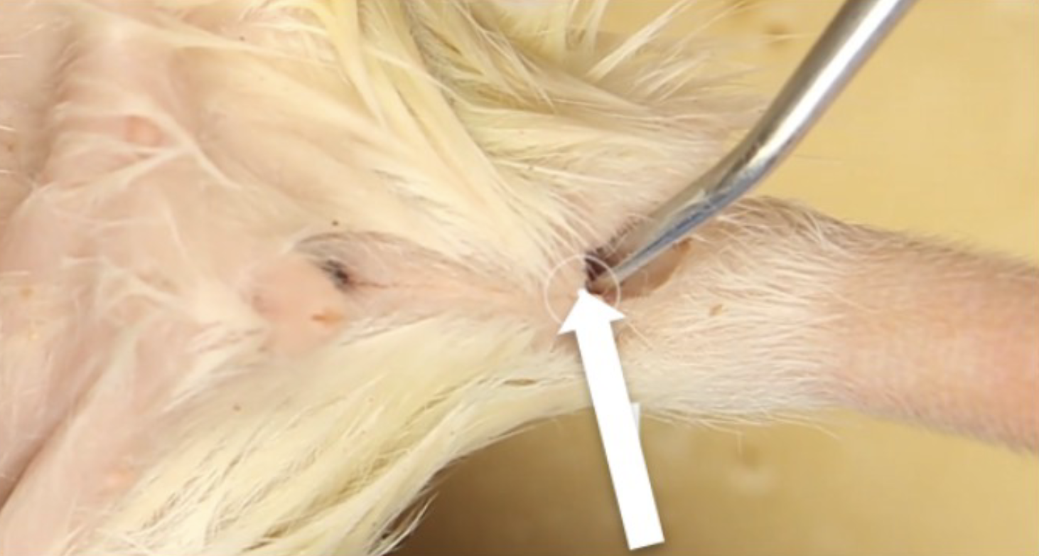 <p>What is this?</p>