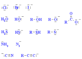 <p>are chemical species that donate an electron pair to form a chemical bond in a reaction. They are typically Lewis bases and play a vital role in nucleophilic substitution and addition reactions. </p>