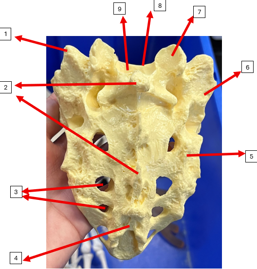 <p>5</p>
