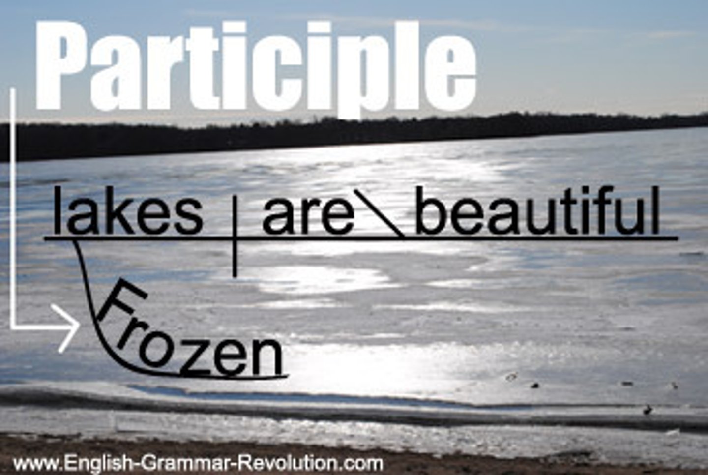 <p>a verb form that can be used as an adjective</p><p>n.分词</p>