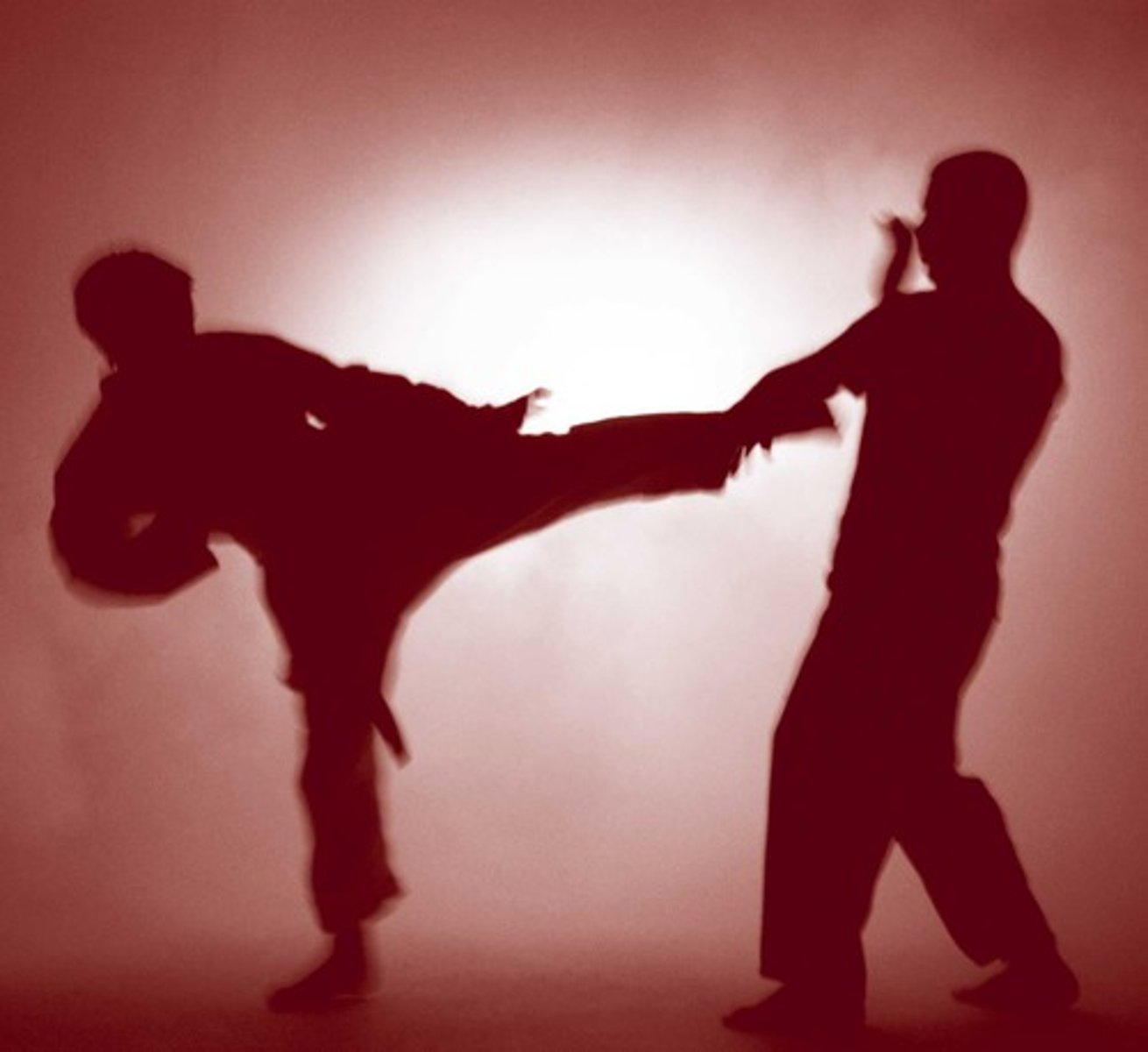 <p>martial arts</p>