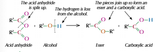 <ul><li><p>Alcohol and acid anhydride</p></li><li><p>Acid anhydride made from two identical carboxylic acid molecules, joined via oxygen&nbsp;</p></li><li><p>Acid anhydride also called dimers</p></li></ul><p></p>
