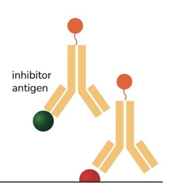 <p>ELISA</p>