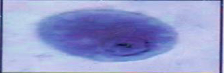 <p></p>