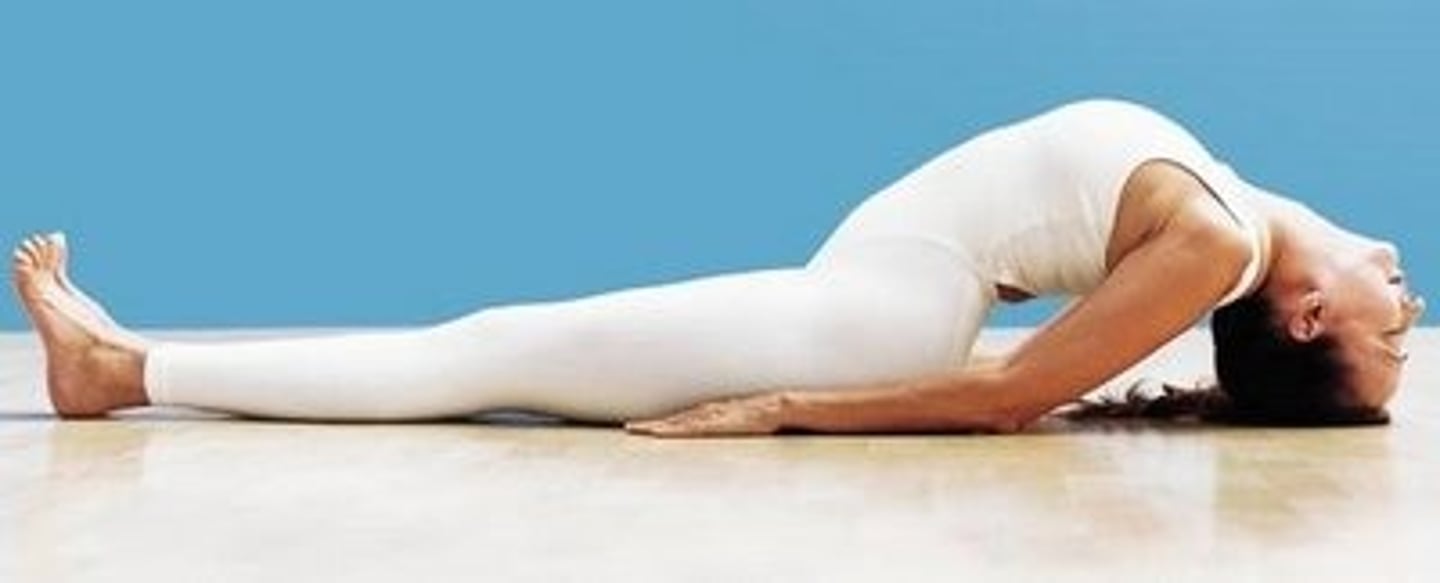 <p>Fish Pose</p>