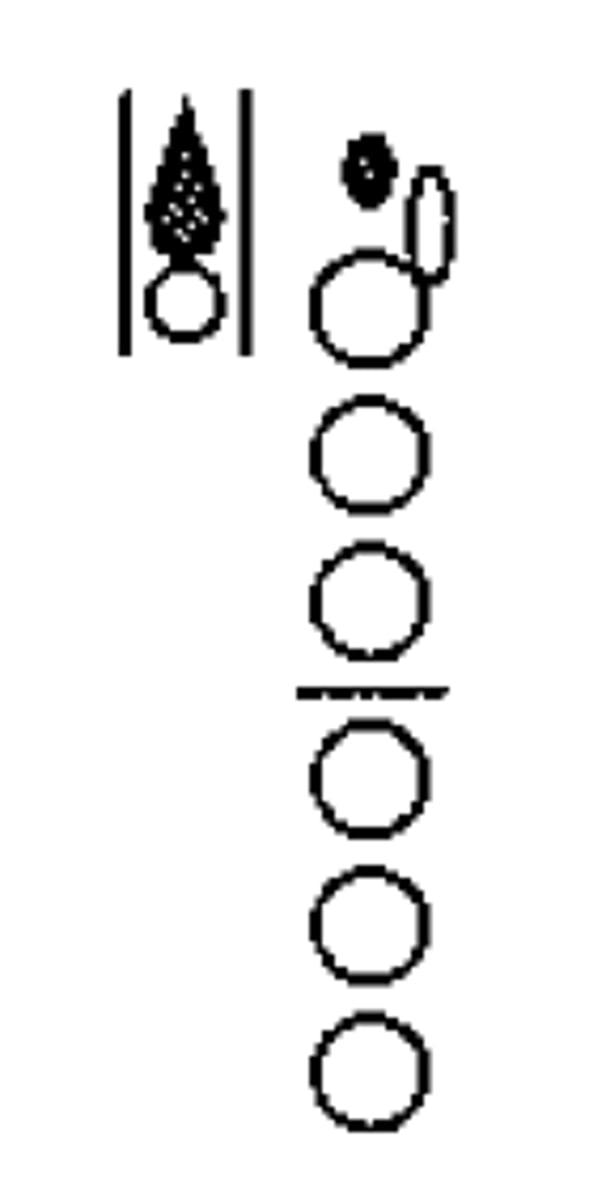 knowt flashcard image