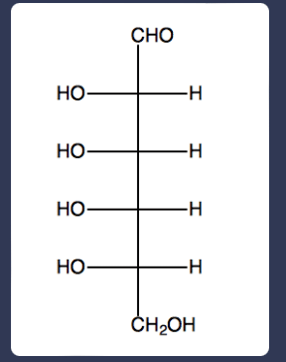 <p>Is the following structure a D or L carbohydrate? Briefly explain.</p>