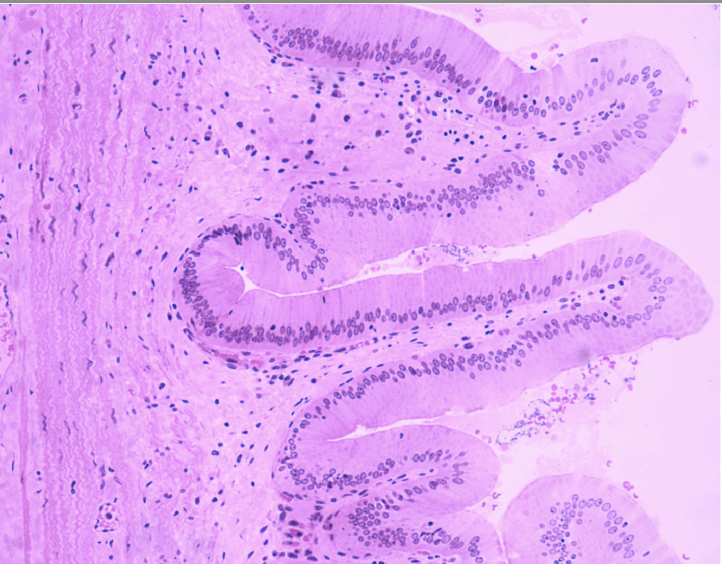 <p>ID the structure</p>