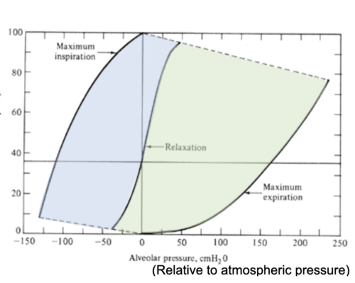 <p>Net expiratory muscle activity</p>